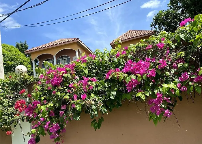 Villa Yanceylargoestate 2br With Mountain Views Montego Bay