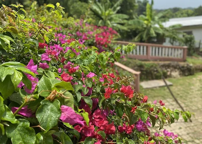 Yanceylargoestate 2br With Mountain Views Villa